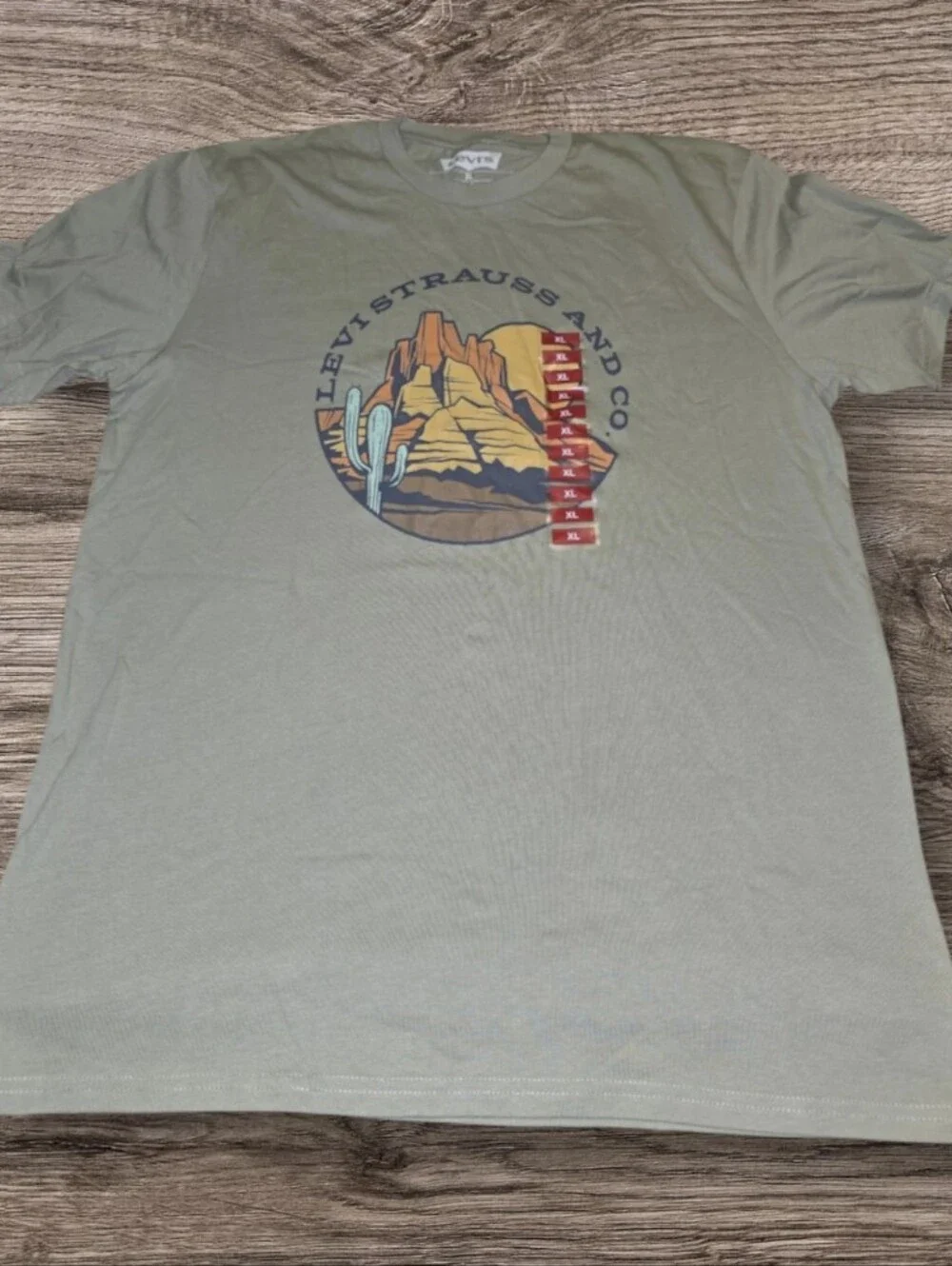 Levi's Sage Green Desert Graphic Short Sleeve Tee